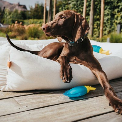 Игрушка для собак HUNTER Aqua Alaska Octopus / 69041