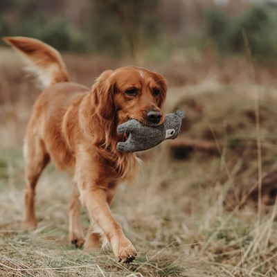 Игрушка для собак HUNTER Billund Bear / 69352