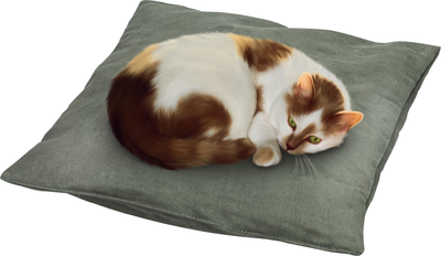 Домик для животных Solmax&Zoo SM98182