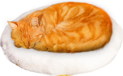 Лежанка для животных Solmax&Zoo SM98165