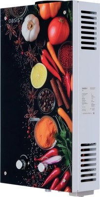 Газовая колонка Oasis Eco 20 О