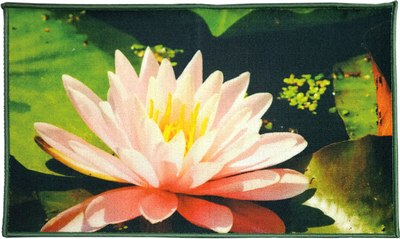 Коврик для ванной Shahintex Fantasy Icarpet 60x100 007 / 451896 - фото