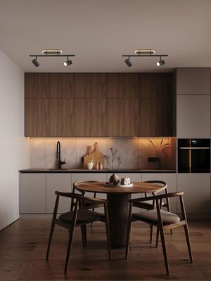 Спот Aitin-Pro CH8009/2