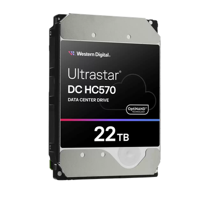 Жесткий диск Western Digital Ultrastar DC HC570 22TB (WUH722222AL5204_0F48052)