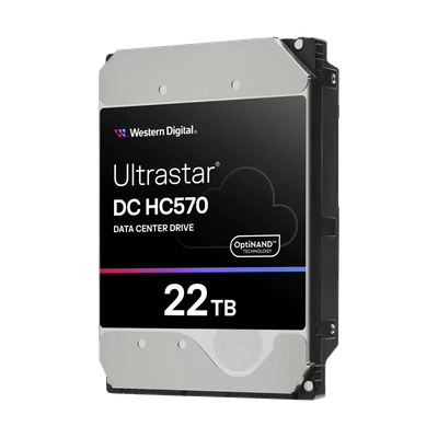 Жесткий диск Western Digital Ultrastar DC HC570 22TB (WUH722222AL5204_0F48052)