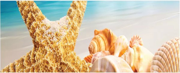 Шторка под ванну JoyArty 60x150 / bt_4271 - фото