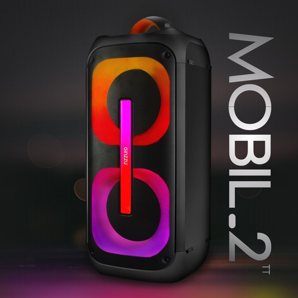 Портативная акустика Ginzzu GM-112