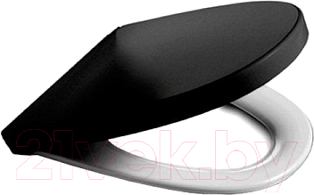 Сиденье для унитаза Roca Victoria Nord ZRU9000101 - фото