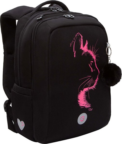 Школьный рюкзак Grizzly RG-566-1 - фото