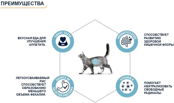 Влажный корм для кошек Advance Diets Gastroenteric