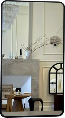 Зеркало Emze Smartphone 50x100 / LED.UV.SMART.50.100.CHE - фото