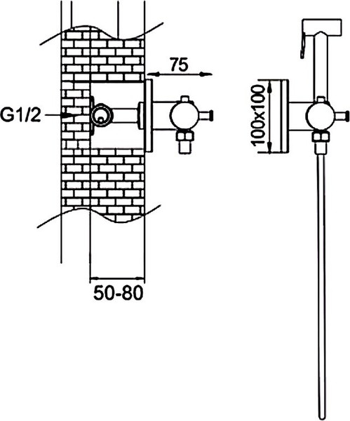 Гигиенический душ со смесителем Rose R915