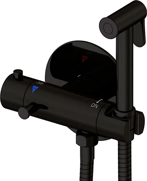 Гигиенический душ со смесителем Rose R915H - фото