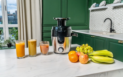 Соковыжималка электрическая Garlyn J-100