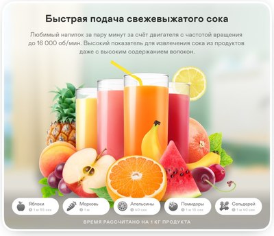 Соковыжималка электрическая Garlyn J-100