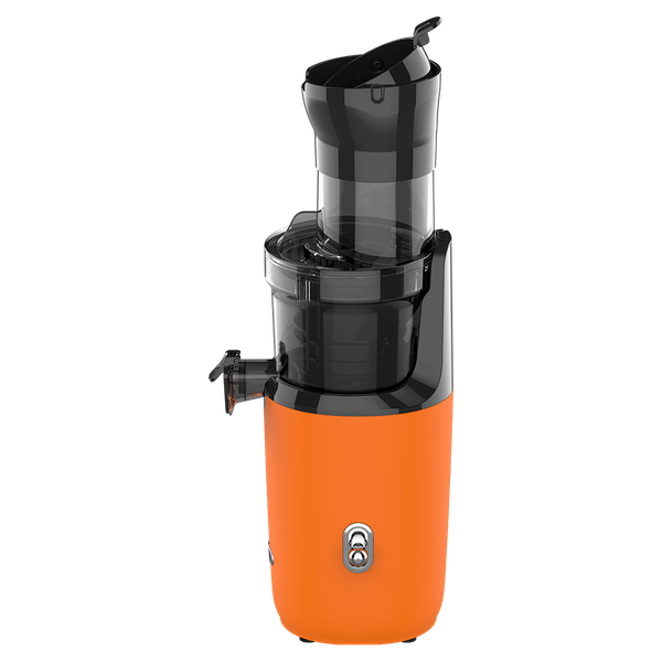 Соковыжималка электрическая Garlyn J-300