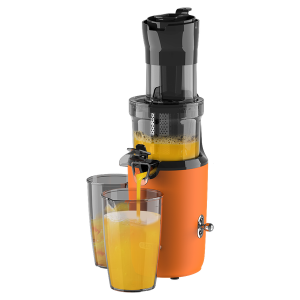 Соковыжималка электрическая Garlyn J-300