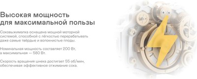 Соковыжималка электрическая Garlyn J-650