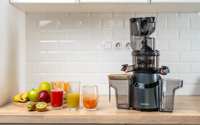 Соковыжималка электрическая Garlyn J-650