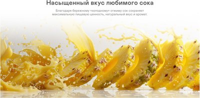 Соковыжималка электрическая Garlyn J-650