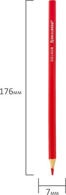 Набор цветных карандашей Brauberg Академия / 181864