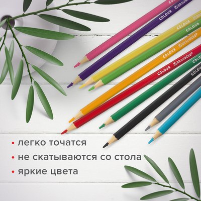 Набор цветных карандашей Brauberg Академия / 181864