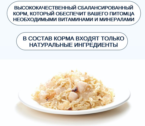 Влажный корм для кошек Wanpy Cat Курица с гребешками