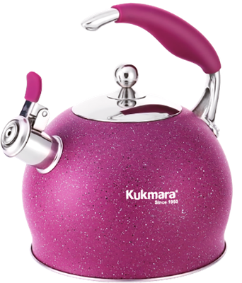 Чайник со свистком Kukmara Ч-02 - фото