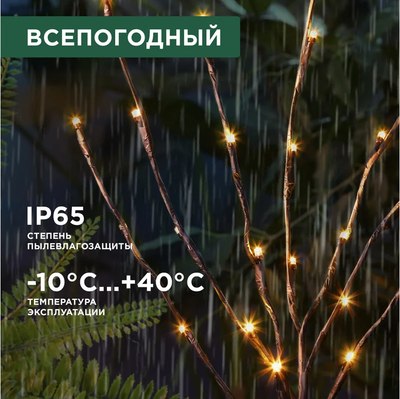 Светильник уличный Rexant 602-2437