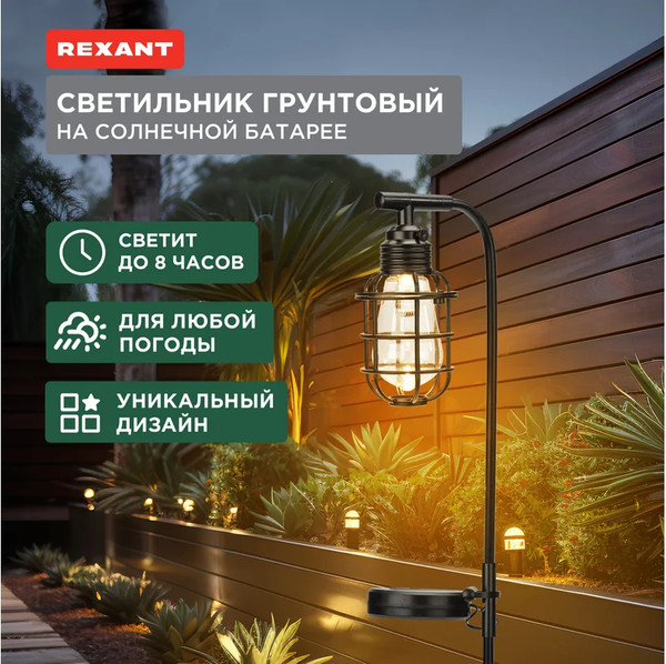 Светильник уличный Rexant 602-2425