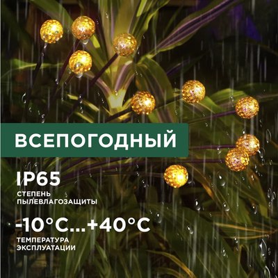 Светильник уличный Rexant 602-2401