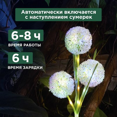 Светильник уличный Rexant 602-2433