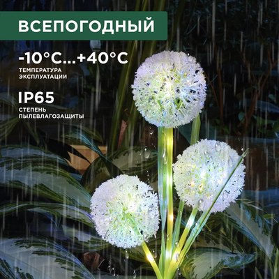 Светильник уличный Rexant 602-2433