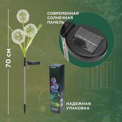 Светильник уличный Rexant 602-2433