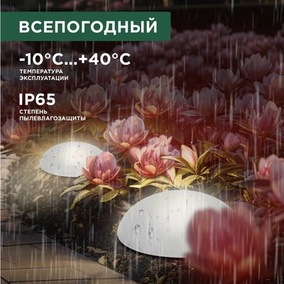 Светильник уличный Rexant 602-2434