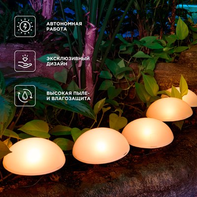 Светильник уличный Rexant 602-2434