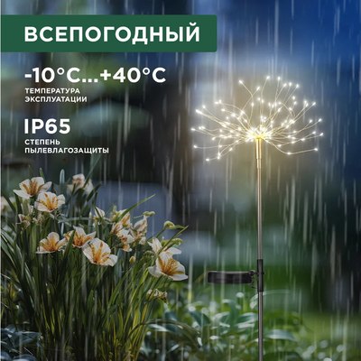 Светильник уличный Rexant 602-2435