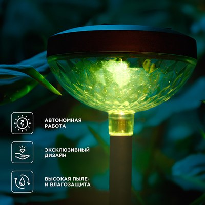 Светильник уличный Rexant 602-2429