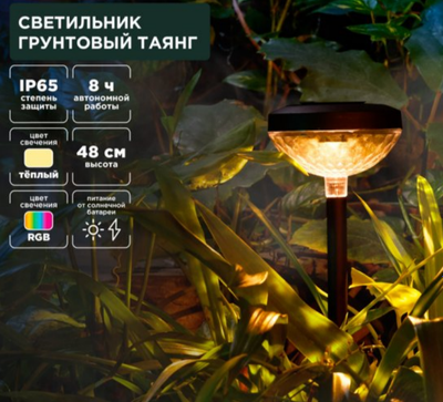 Светильник уличный Rexant 602-2429