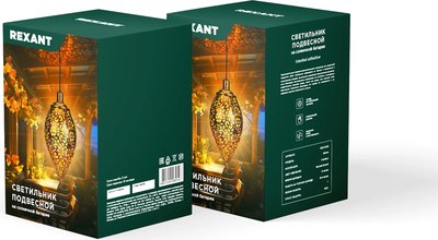 Светильник уличный Rexant 602-2402