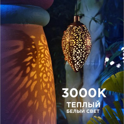 Светильник уличный Rexant 602-2402