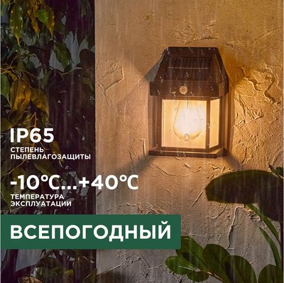 Светильник уличный Rexant 602-2418