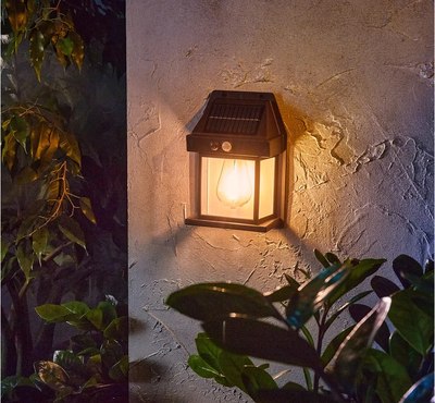 Светильник уличный Rexant 602-2418