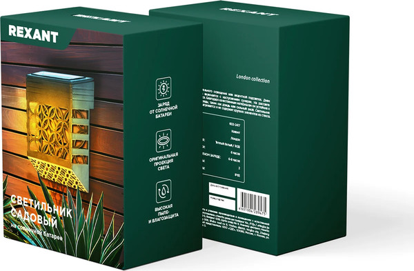 Светильник уличный Rexant 602-2417