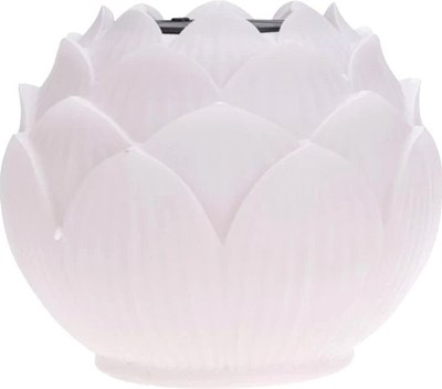 Светильник уличный Rexant 602-2431 - фото