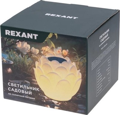 Светильник уличный Rexant 602-2431