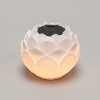 Светильник уличный Rexant 602-2431