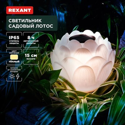 Светильник уличный Rexant 602-2431