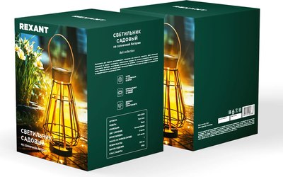 Светильник уличный Rexant 602-2409