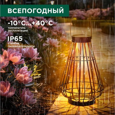 Светильник уличный Rexant 602-2410